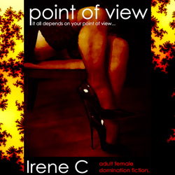 Thumbnail Novel point of view250 Miss Irene Clearmont